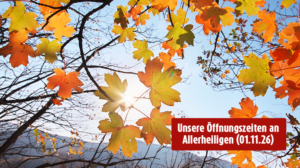 Baum im Herbst